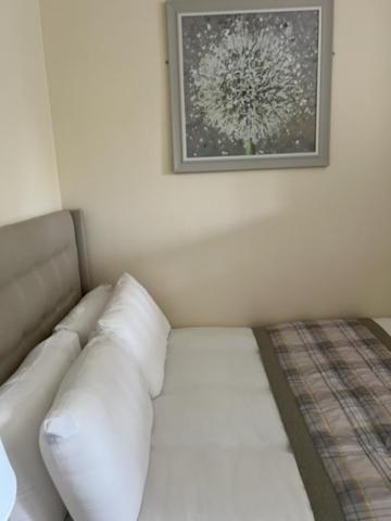 Waverley Inn Flat Inverness Zewnętrze zdjęcie